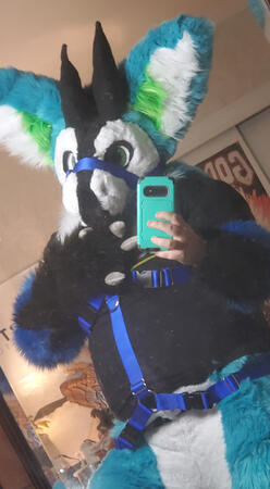 Photo by me (6ftDemon)