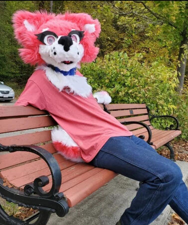 Photo by me (6ftDemon)