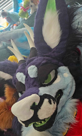 Photo by me (6ftDemon)