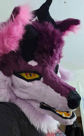 Photo by me (6ftDemon)