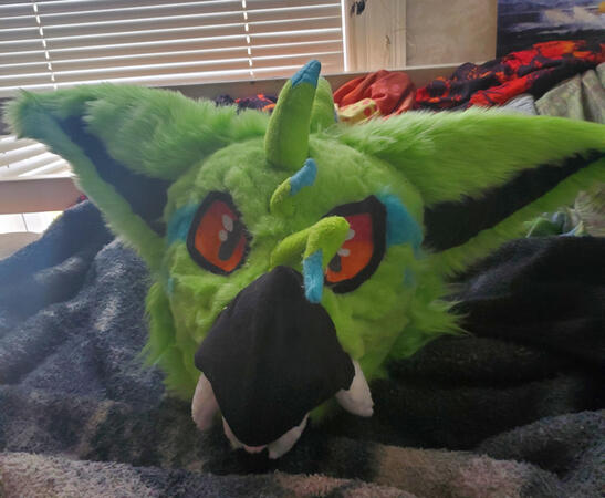 Photo by me (6ftDemon)