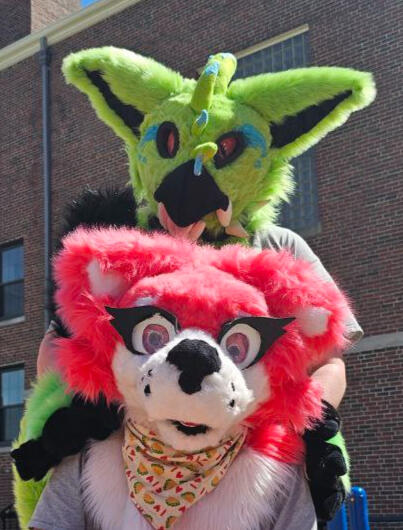 Photo by Timey/Ben the Furtographer (Instagram)