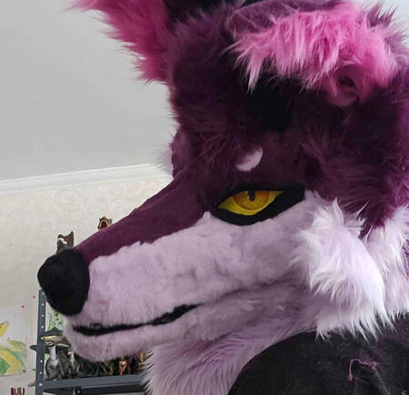 Photo by me (6ftDemon)